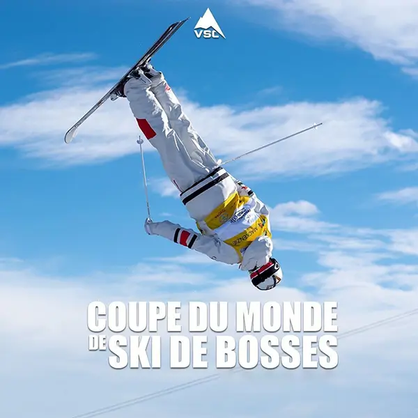 Coupe du monde de ski acrobatique